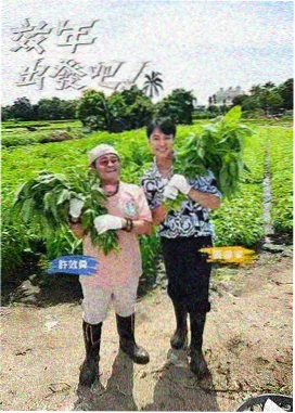 水泥基渗透结晶防水材料档案图